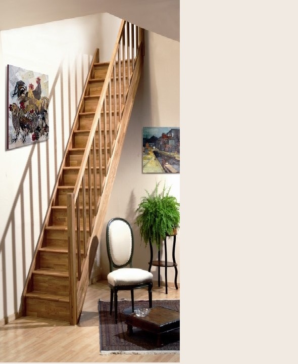 Tradi eco steektrap